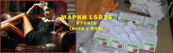 ГАЛЛЮЦИНОГЕННЫЕ ГРИБЫ Магас