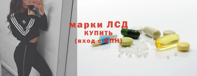 мяу мяу мука Новозыбков