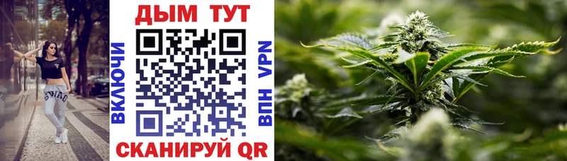 купить наркоту  Городище  МАРИХУАНА THC 21% 